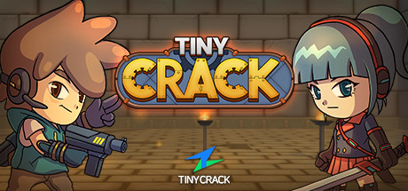 Tiny Crack